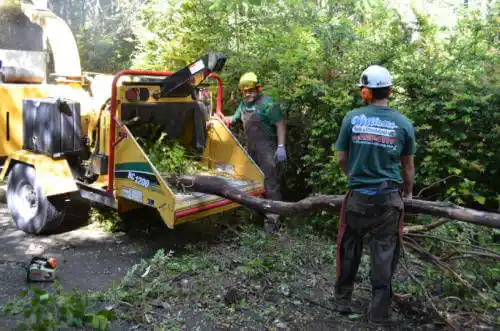 tree services Meadow Vista